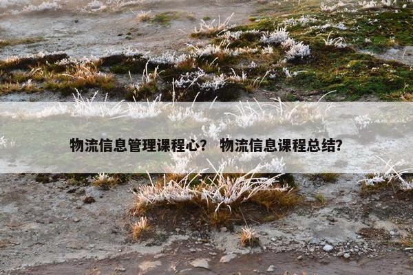 物流信息管理课程心？ 物流信息课程总结？