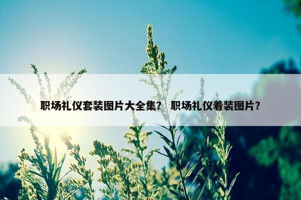 职场礼仪套装图片大全集？ 职场礼仪着装图片？