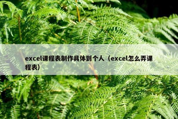 excel课程表制作具体到个人（excel怎么弄课程表）