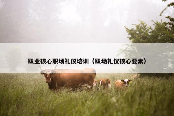 职业核心职场礼仪培训（职场礼仪核心要素）