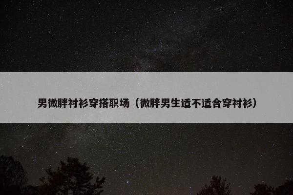 男微胖衬衫穿搭职场（微胖男生适不适合穿衬衫）