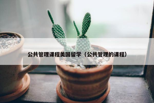 公共管理课程美国留学（公共管理的课程）