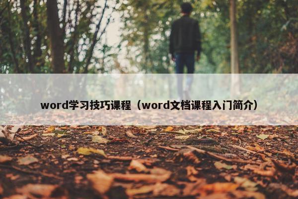 word学习技巧课程（word文档课程入门简介）