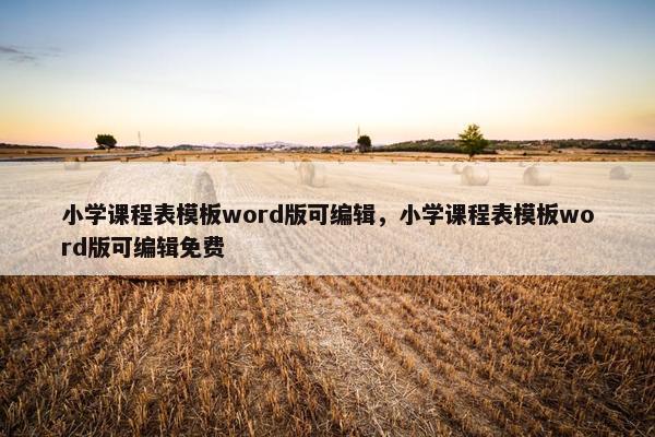 小学课程表模板word版可编辑，小学课程表模板word版可编辑免费