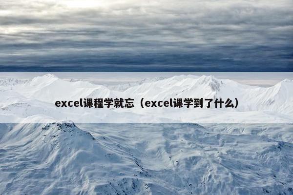 excel课程学就忘（excel课学到了什么）