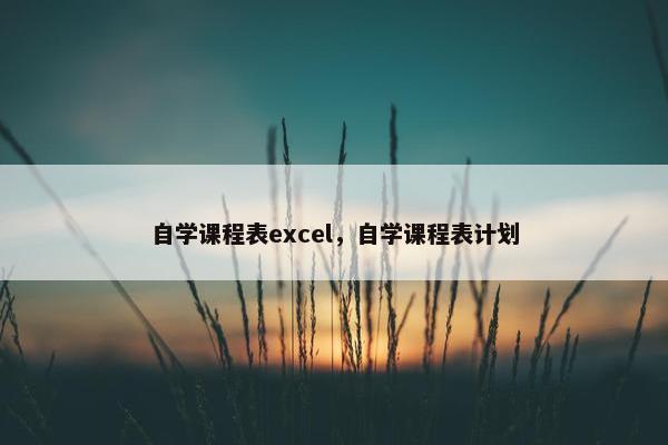 自学课程表excel，自学课程表计划
