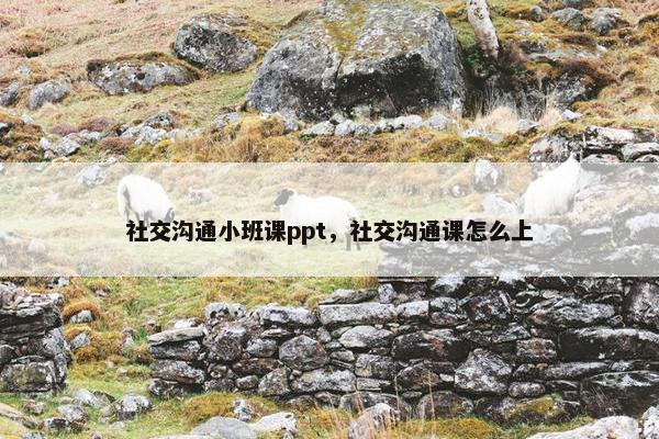 社交沟通小班课ppt，社交沟通课怎么上