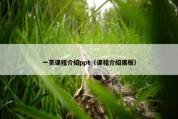 一页课程介绍ppt（课程介绍展板）