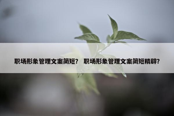 职场形象管理文案简短？ 职场形象管理文案简短精辟？