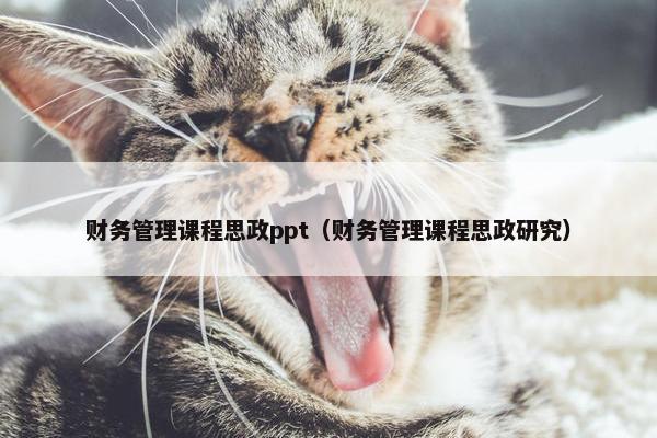 财务管理课程思政ppt（财务管理课程思政研究）