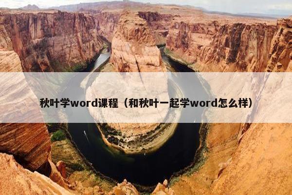秋叶学word课程（和秋叶一起学word怎么样）