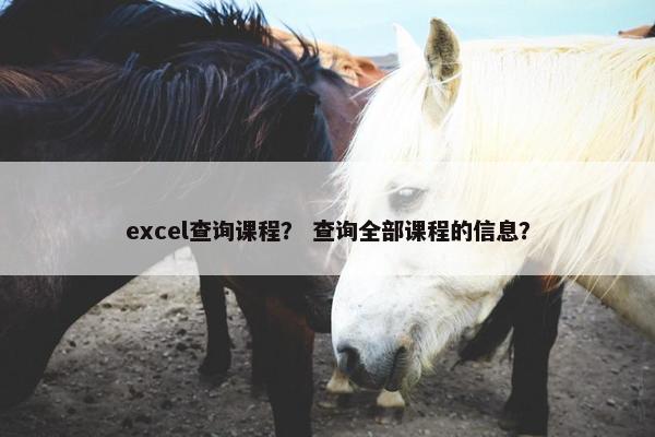 excel查询课程？ 查询全部课程的信息？