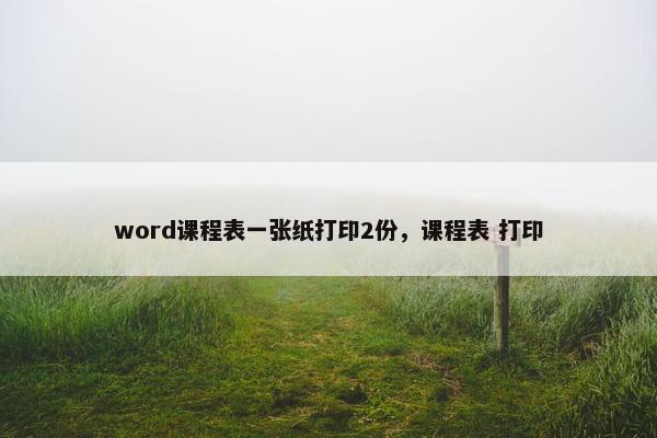 word课程表一张纸打印2份，课程表 打印