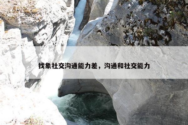 找象社交沟通能力差，沟通和社交能力