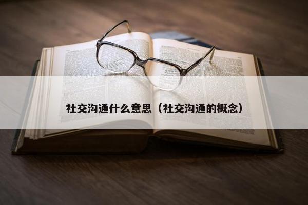 社交沟通什么意思（社交沟通的概念）