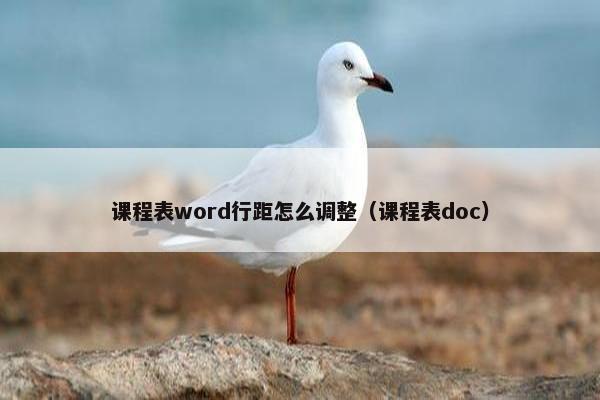 课程表word行距怎么调整（课程表doc）