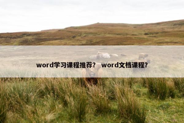word学习课程推荐？ word文档课程？