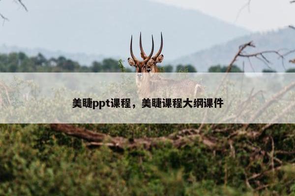 美睫ppt课程，美睫课程大纲课件