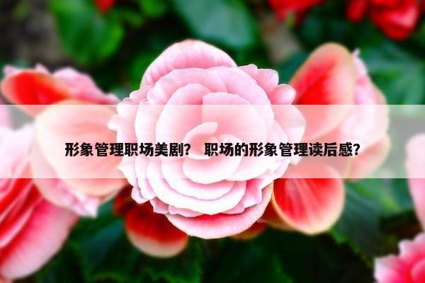 形象管理职场美剧？ 职场的形象管理读后感？