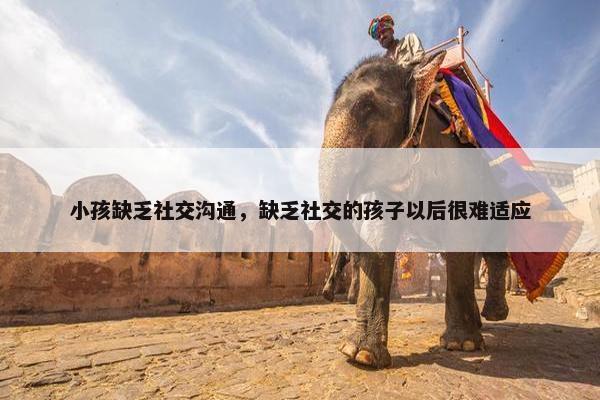 小孩缺乏社交沟通，缺乏社交的孩子以后很难适应