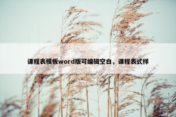 课程表模板word版可编辑空白，课程表式样