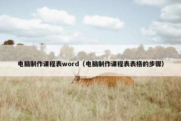电脑制作课程表word（电脑制作课程表表格的步骤）