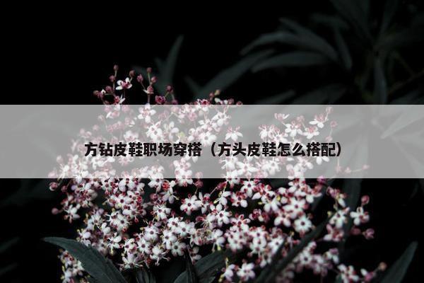 方钻皮鞋职场穿搭（方头皮鞋怎么搭配）
