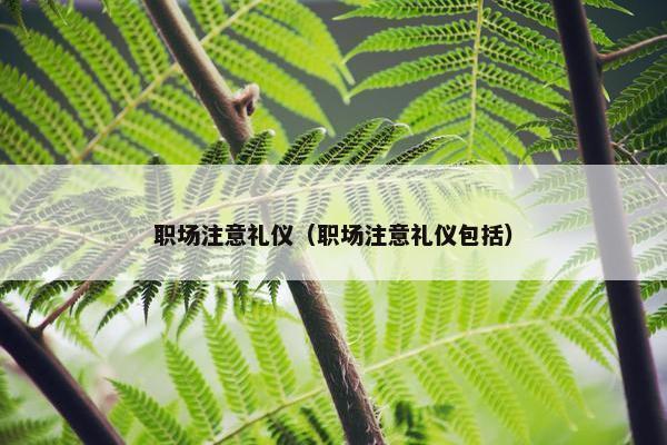 职场注意礼仪（职场注意礼仪包括）