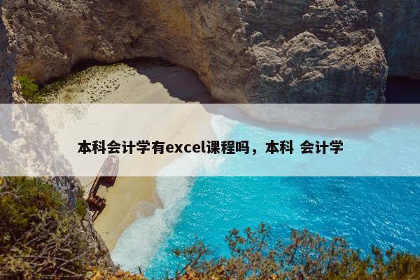 本科会计学有excel课程吗，本科 会计学