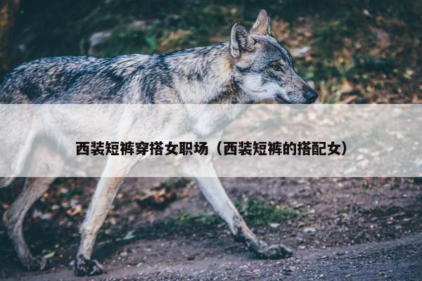 西装短裤穿搭女职场（西装短裤的搭配女）