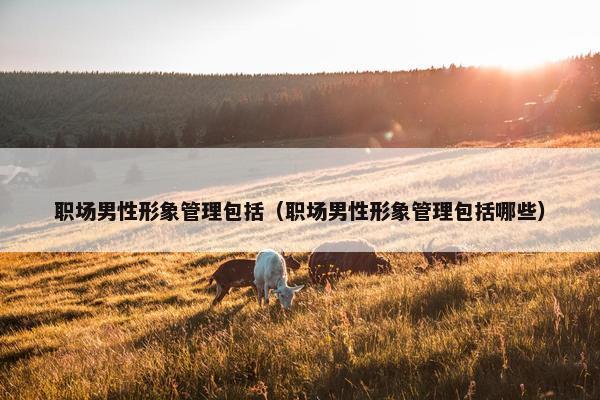 职场男性形象管理包括（职场男性形象管理包括哪些）