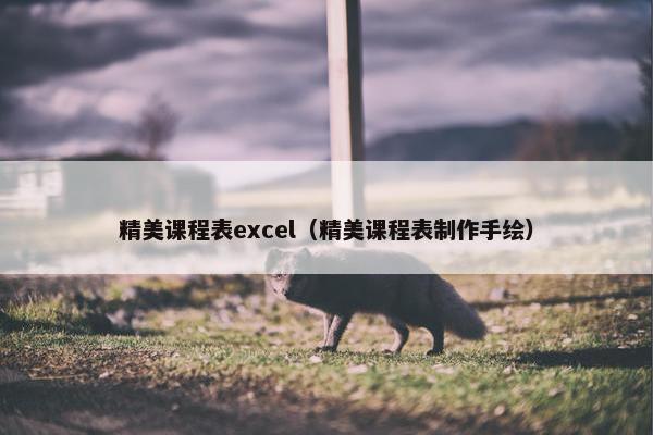 精美课程表excel（精美课程表制作手绘）