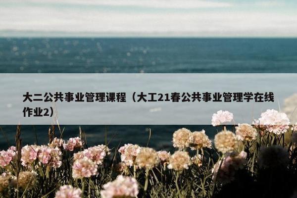 大二公共事业管理课程（大工21春公共事业管理学在线作业2）