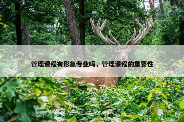 管理课程有形象专业吗，管理课程的重要性