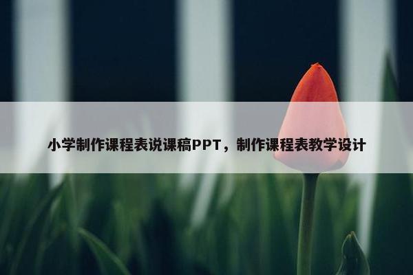 小学制作课程表说课稿PPT，制作课程表教学设计