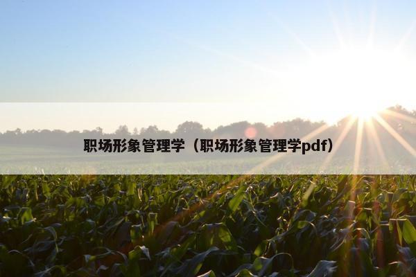 职场形象管理学（职场形象管理学pdf）