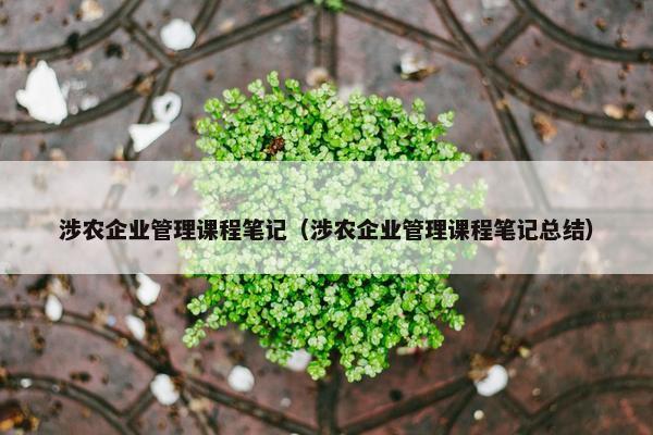 涉农企业管理课程笔记（涉农企业管理课程笔记总结）