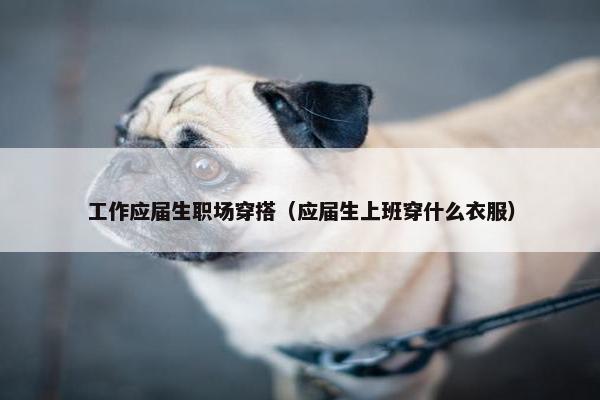 工作应届生职场穿搭（应届生上班穿什么衣服）