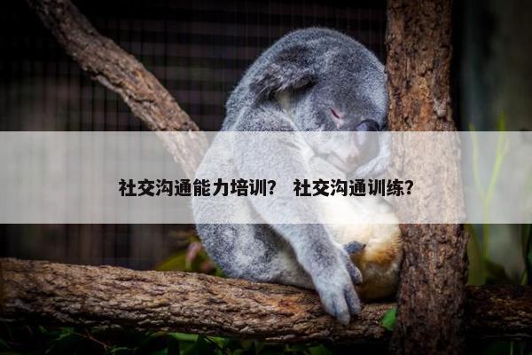 社交沟通能力培训？ 社交沟通训练？