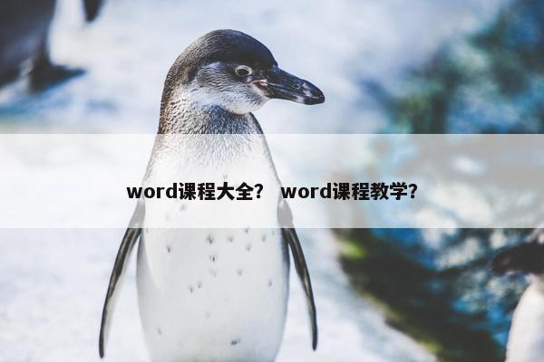 word课程大全？ word课程教学？