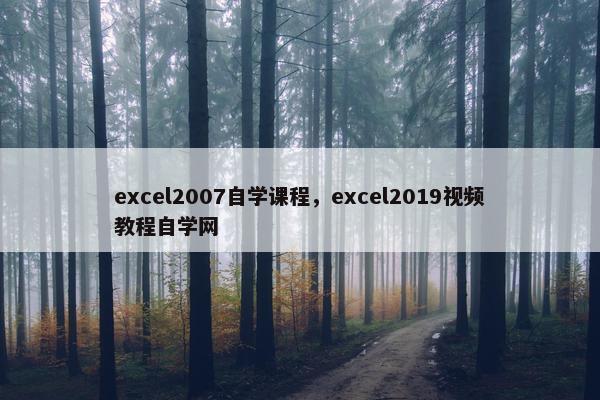 excel2007自学课程，excel2019视频教程自学网