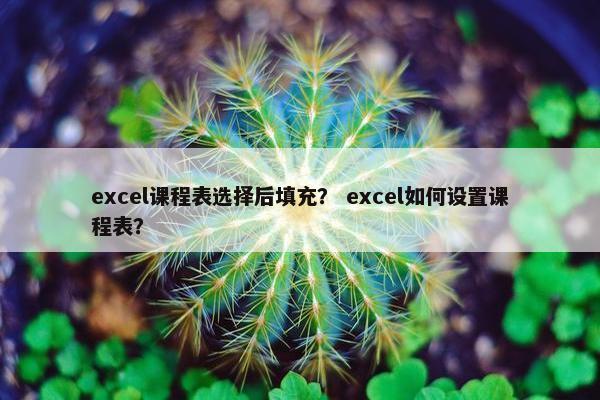 excel课程表选择后填充？ excel如何设置课程表？