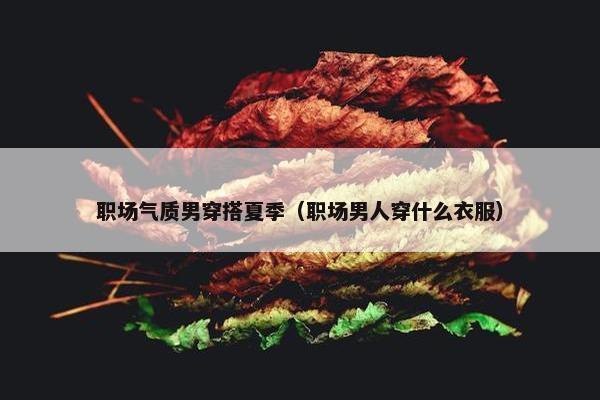 职场气质男穿搭夏季（职场男人穿什么衣服）