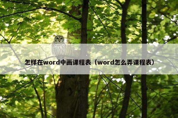 怎样在word中画课程表（word怎么弄课程表）