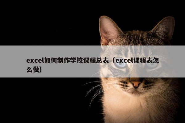 excel如何制作学校课程总表（excel课程表怎么做）