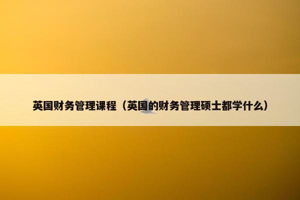 英国财务管理课程（英国的财务管理硕士都学什么）