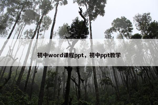 初中word课程ppt，初中ppt教学