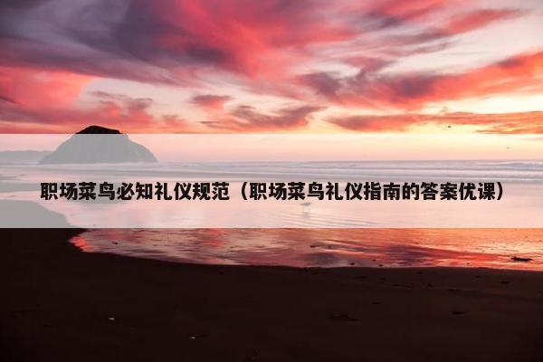职场菜鸟必知礼仪规范（职场菜鸟礼仪指南的答案优课）