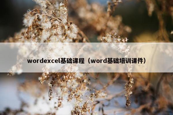 wordexcel基础课程（word基础培训课件）