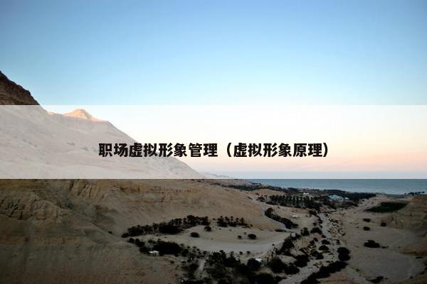 职场虚拟形象管理（虚拟形象原理）